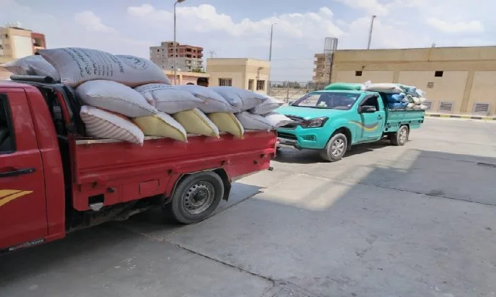 خير الحصاد: شون وصوامع البحيرة تستقبل 311 ألف طن من القمح من الفلاحين خير الحصاد: شون وصوامع البحيرة تستقبل 311 ألف طن من القمح من الفلاحين