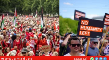 آلاف المحتجين في بروكسل ولاهاي تأييدًا لفلسطين واحتجاجًا على العدوان في غزة – صور وفيديو