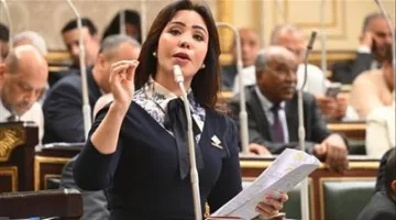 غادة علي “نائبة التنسيقية”: قانون تنظيم ملكية الدولة للشركات يعد خطة واضحة لتحقيق اقتصاد أكثر تنافسية وقد طالما دعت إليه.