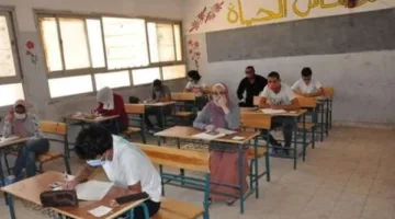 رسميًا: نتائج الصف الثالث الإعدادي في الجيزة 2025 بتقدير نجاح 87.46%.. تحقق من النتائج الآن