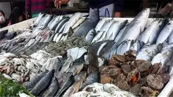 أسعار السمك والمأكولات البحرية مساء 15 يونيو 2025 أسعار السمك والمأكولات البحرية مساء 15 يونيو 2025