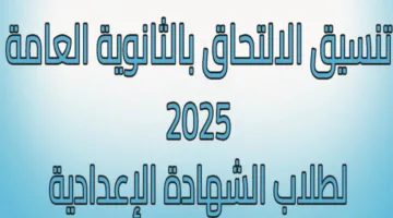 عاجل | توزيع درجات الثانوية العامة 2025 في محافظة الجيزة