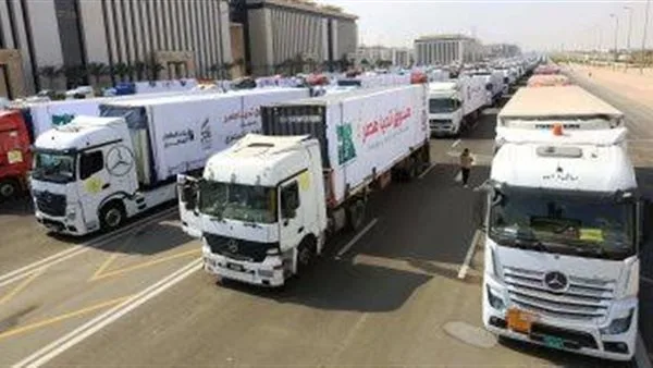 نائبة تونسية: قافلة غزة تحولت من نشاط إنساني إلى مشروع سياسي إخواني يستهدف مصر وليبيا نائبة تونسية: قافلة غزة تحولت من نشاط إنساني إلى مشروع سياسي إخواني يستهدف مصر وليبيا