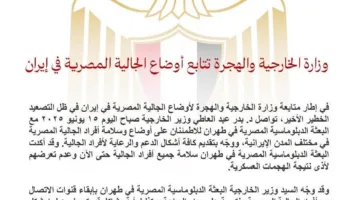 وزارة الخارجية تراقب أحوال المصريين المقيمين في إيران
