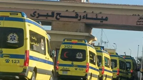عاجل.. “مصر تظل مفتوحة” .. تفاصيل الدعم الذي أنقذ غزة من الكارثة. عاجل.. “مصر تظل مفتوحة” .. تفاصيل الدعم الذي أنقذ غزة من الكارثة.