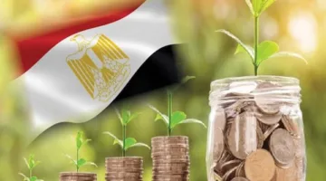 أحدث تقنيات الإنتاج ستبرز القماش.. مليار دولار تدخل مصر من ‘الاقتصاد الأخضر’.. ما هو السر وراء ذلك؟
