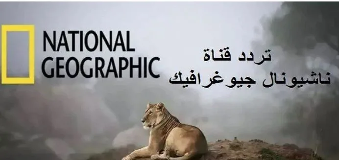 تحديث تردد قناة ناشيونال جيوغرافيك 2025 على نايل سات وعرب سات تحديث تردد قناة ناشيونال جيوغرافيك 2025 على نايل سات وعرب سات