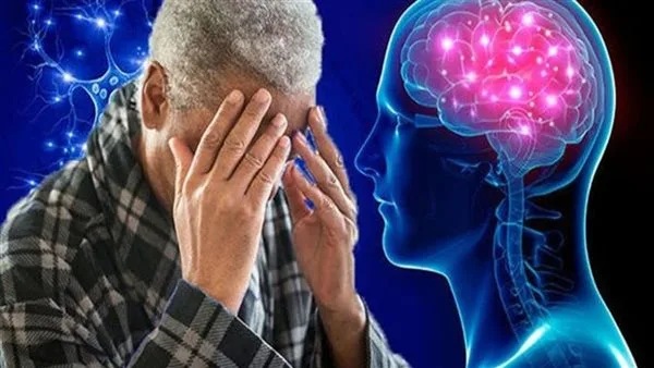 دراسة توضح: النظام الغذائي النباتي يعزز صحة الدماغ ويقلل من مخاطر الإصابة بالزهايمر دراسة توضح: النظام الغذائي النباتي يعزز صحة الدماغ ويقلل من مخاطر الإصابة بالزهايمر