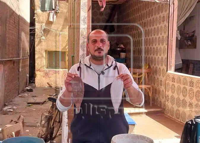 أسعار الأسماك في أسواق دمياط يوم الاثنين 16 يونيو 2025 أسعار الأسماك في أسواق دمياط يوم الاثنين 16 يونيو 2025
