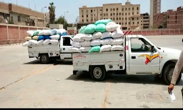 تموين الشرقية: تسليم 600 ألف طن من محصول القمح حتى اللحظة تموين الشرقية: تسليم 600 ألف طن من محصول القمح حتى اللحظة