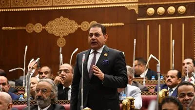 النائب فرج فتحي فرج: إسرائيل تثير النزاعات لتفجير الأوضاع في المنطقة.. ومصر تبرز في حماية استقرار الإقليم. النائب فرج فتحي فرج: إسرائيل تثير النزاعات لتفجير الأوضاع في المنطقة.. ومصر تبرز في حماية استقرار الإقليم.