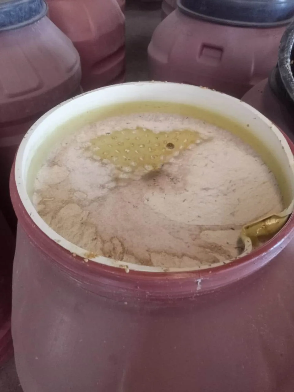 صور: ضبط مخللات فاسدة وزيوت غير معروفة المصدر في الغربية صور: ضبط مخللات فاسدة وزيوت غير معروفة المصدر في الغربية
