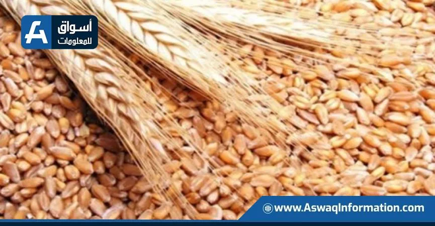 وزارة الزراعة الأمريكية تعلن زيادة تقديراتها لإنتاج القمح على مستوى العالم وزارة الزراعة الأمريكية تعلن زيادة تقديراتها لإنتاج القمح على مستوى العالم
