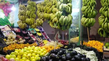 أسعار الخضروات والفاكهة في مطروح يوم الإثنين 16 يونيو 2025