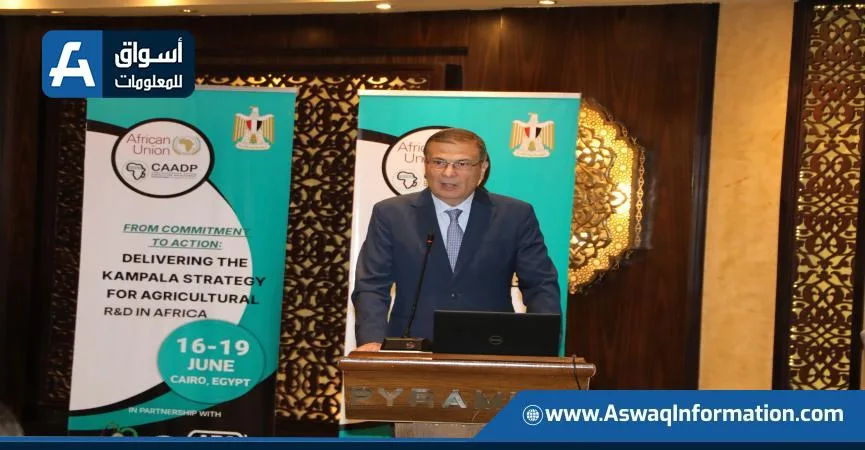 وزير الزراعة: تطوير 4 ملايين فدان لتعزيز إنتاج المحاصيل الأساسية وزير الزراعة: تطوير 4 ملايين فدان لتعزيز إنتاج المحاصيل الأساسية