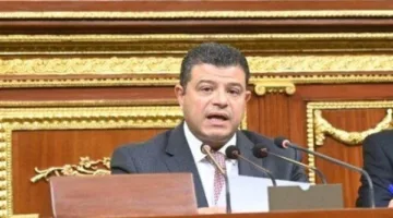 رئيس لجنة الاقتصاد في مجلس النواب: للموازنة العامة للدولة أساسات متعددة وقد تطرأ تغييرات عليها