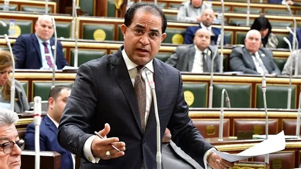 نائب: الرئيس السيسي واجه جميع التحديات في ظل ظروف اقتصادية قاسية نائب: الرئيس السيسي واجه جميع التحديات في ظل ظروف اقتصادية قاسية