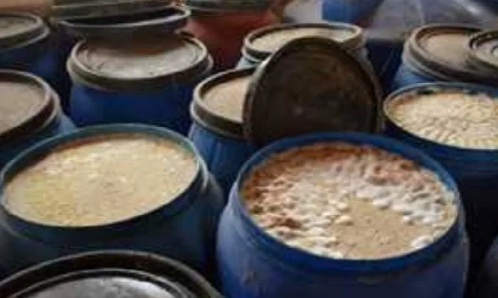 إتلاف 5.5 طن من المخللات الفاسدة وجبنة رومي غير معروفة المصدر في البحيرة إتلاف 5.5 طن من المخللات الفاسدة وجبنة رومي غير معروفة المصدر في البحيرة