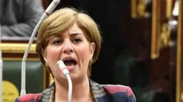 النائبة إيمان العجوز: الشرق يحتدم بالاضطرابات.. ووعي المصريين هو السلاح الذي لا يفقد قوته