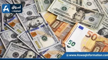 ضبط قضايا تهريب عملات أجنبية بمبلغ 5 ملايين جنيه