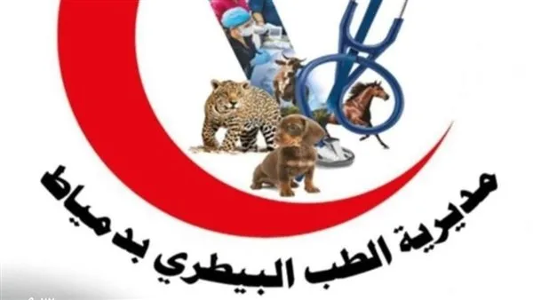 الخميس: حملة بيطرية في عزبة 7 بالزرقا، دمياط الخميس: حملة بيطرية في عزبة 7 بالزرقا، دمياط