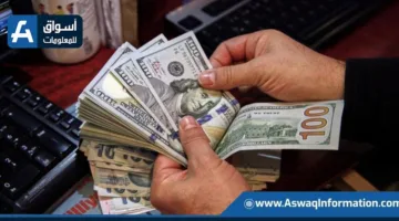 بـ 22.7 مليار دولار.. مصر في المرتبة السابعة عالميًا بين الدول الأكثر تلقيًا للتحويلات من الخارج.
