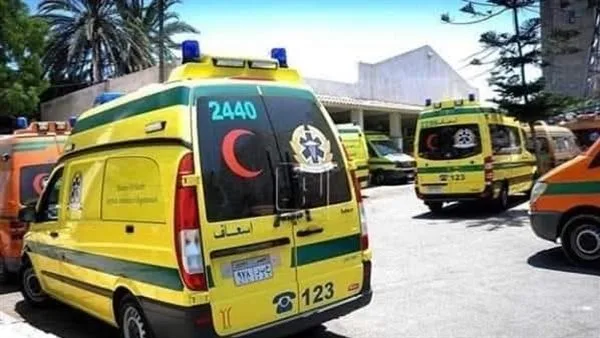 16 شخصًا مصابون في حادث انقلاب ميكروباص على طريق القاهرة – الفيوم 16 شخصًا مصابون في حادث انقلاب ميكروباص على طريق القاهرة – الفيوم