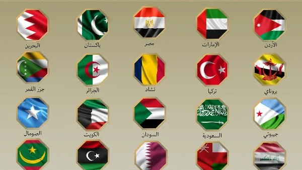 مصر و19 دولة إسلامية تؤكد على أهمية إنهاء الاعتداءات الإسرائيلية على إيران مصر و19 دولة إسلامية تؤكد على أهمية إنهاء الاعتداءات الإسرائيلية على إيران