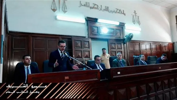 الحكم بالسجن المؤبد لسائق توكتوك و5 سنوات لشقيقه بتهمة قتل جارهما في سمنود الحكم بالسجن المؤبد لسائق توكتوك و5 سنوات لشقيقه بتهمة قتل جارهما في سمنود