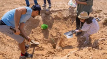 40 مشروعًا ل植 31 مليون شجرة في الشرقية