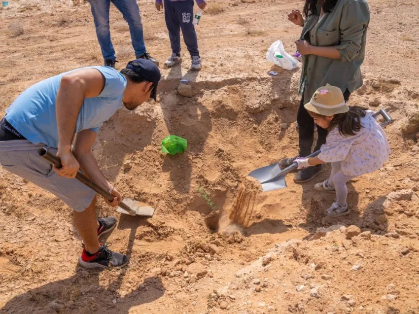 40 مشروعًا ل植 31 مليون شجرة في الشرقية 40 مشروعًا ل植 31 مليون شجرة في الشرقية