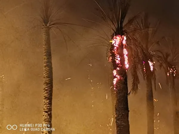 نيران ضخمة تلتهم مزرعة لنخيل في واحة سيوة بمطروح.. صور نيران ضخمة تلتهم مزرعة لنخيل في واحة سيوة بمطروح.. صور