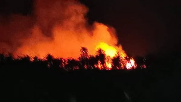 حريق ي devastate حديقة منزلين في طما بسوهاج حريق ي devastate حديقة منزلين في طما بسوهاج