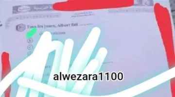 قبل انطلاق اللجان | شاومينج يدعي تسريب امتحان اللغة الفرنسية للثانوية العامة والوزارة توضح الأمر الآن.