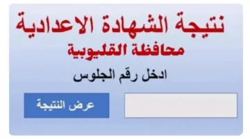 نتيجة الشهادة الإعدادية بمحافظة القليوبية 2025: كيفية الاستعلام باستخدام رقم الجلوس