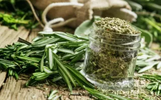 دراسة: إكليل الجبل يساعد في تقليل القلق ومكافحة مرض الزهايمر دراسة: إكليل الجبل يساعد في تقليل القلق ومكافحة مرض الزهايمر