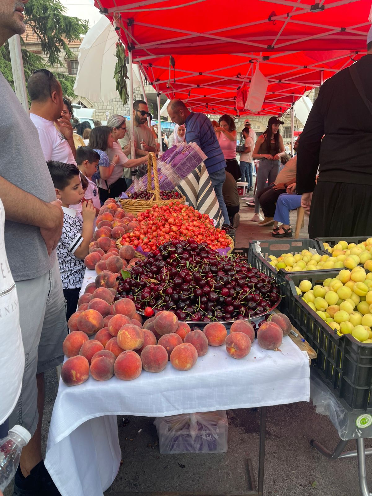 مهرجان الكرز في حمانا (النهار)
