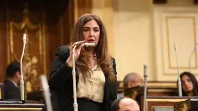 نائبة التنسيقية أميرة العادلي تناقش الموازنة العامة 26/25: الأرقام واضحة.. ورفع الدعم والأجور لا يتناسب مع ارتفاع الأسعار. نائبة التنسيقية أميرة العادلي تناقش الموازنة العامة 26/25: الأرقام واضحة.. ورفع الدعم والأجور لا يتناسب مع ارتفاع الأسعار.