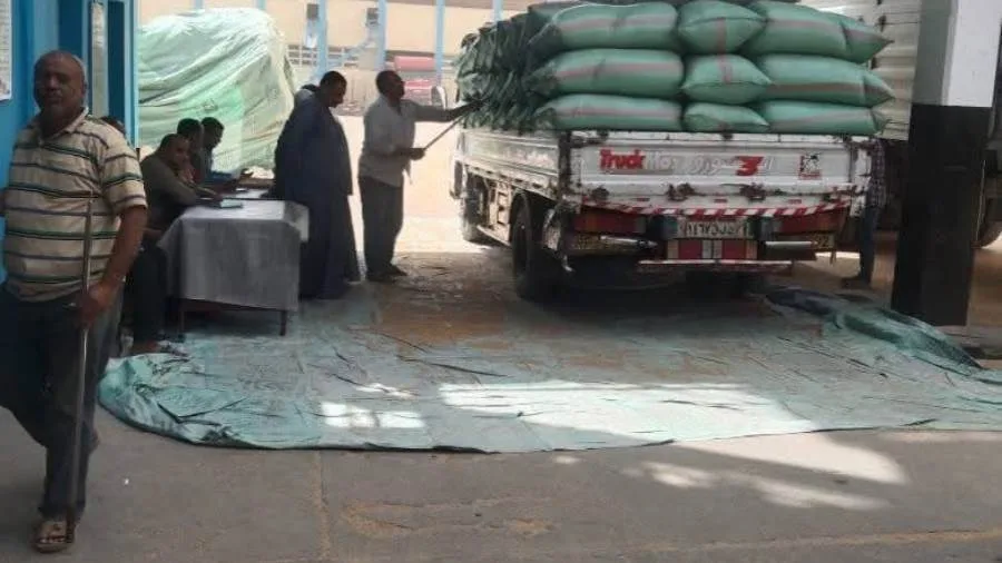 محافظ المنيا: استمرارية تسليم القمح مع وصول الكمية إلى 509 آلاف طن في الشُونات والصوامع.