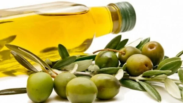 فوائد زيت الزيتون لصحة القلب وضغط الدم.. والجرعة المثلى للاستخدام