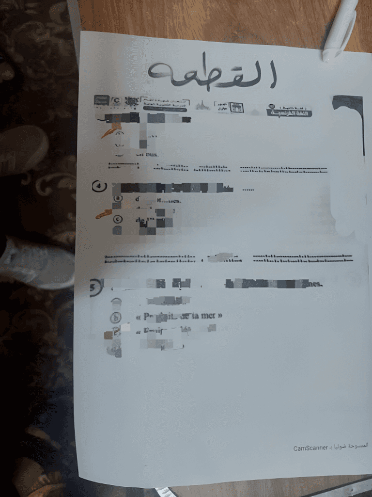 تفاصيل الصورة المنتشرة في لجان امتحانات اللغة الفرنسية للثانوية العامة بمصر