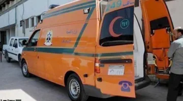 أخ يقتل شقيقه الأكبر ويقيد والدته بحبل في إسنا جنوب الأقصر