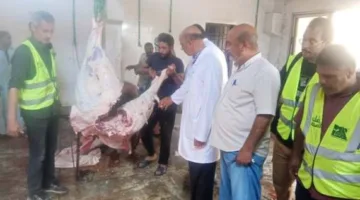 “مصر الخير” تطلق مبادرة “صك الأضحية” في قنا وتوزع لحوم الأضاحي على أكثر من 22 ألف أسرة.
