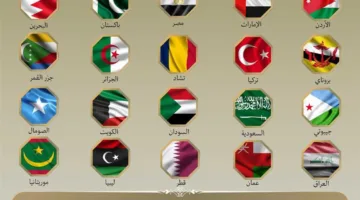 20 دولة عربية وإسلامية تعبر عن رفضها وإدانتهم للاعتداءات الإسرائيلية على إيران