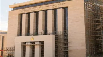 التنظيم والإدارة يعلن عن خدمة استرداد كود التقديم للمسابقات باستخدام الرقم القومي على منصة الوظائف الحكومية