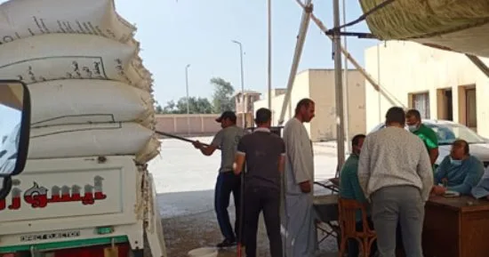 إمداد 279,277 طن من القمح إلى صوامع وشون بني سويف حتى اللحظة. إمداد 279,277 طن من القمح إلى صوامع وشون بني سويف حتى اللحظة.