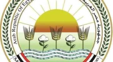 “فاروق”: رصد دائم للأسواق والمنافذ للتحقق من سلامة وجودة الأضاحي المتاحة