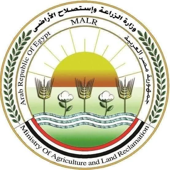 “فاروق”: رصد دائم للأسواق والمنافذ للتحقق من سلامة وجودة الأضاحي المتاحة