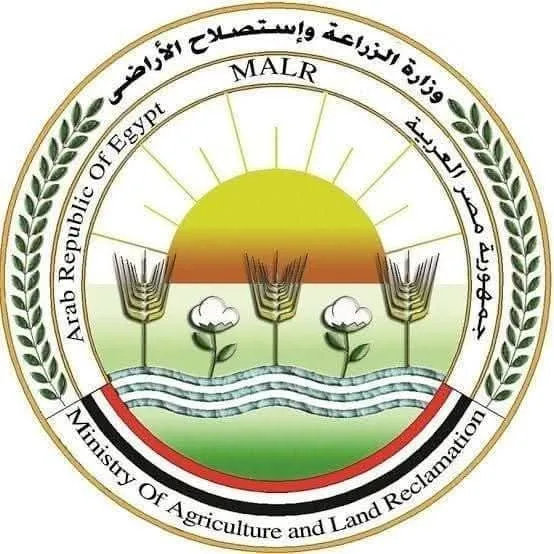 “الزراعة”: أكثر من 20 ألف أضحية تُذبح في المجازر الحكومية خلال اليومين الأولين من عيد الأضحى “الزراعة”: أكثر من 20 ألف أضحية تُذبح في المجازر الحكومية خلال اليومين الأولين من عيد الأضحى