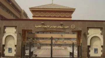 باحث مصري في معهد “تيودور بلهارس” يساهم في ابتكار تقنية عالمية جديدة لتبريد الكبد وحفظه لفترة أطول قبل الزراعة.
